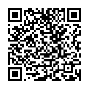 甚至是任务挑选中也刻意筛选一些没什么大的危险的任务给他们二维码生成