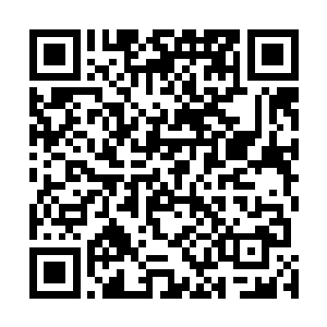 甚至是皮肤对周围气息的感知而将一切完整反应到识海中二维码生成