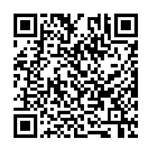 甚至是苔藓之类都不断没入这头怪物恐怖的巨嘴中二维码生成