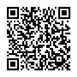 甚至有些怀疑那位前辈交给自己的路引到底有没有用二维码生成