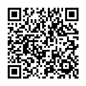 甚至没事的时候还能够跑到王兵那里去吃烤全羊二维码生成