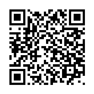 甚至达到四五百架的世界超级王牌吗二维码生成