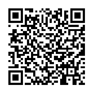 甚至还有一些发达国家在研究基因战士或者基因药剂二维码生成