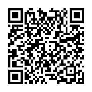 甚至还有其他十来个天君也跟着一起向峡谷口跑去二维码生成