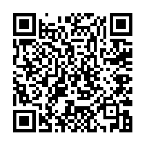 甚至还超过了在轩辕之丘的位列九卿之一的太夏廷尉二维码生成