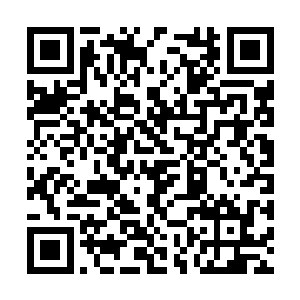 甚至连他的健康状况和慈善捐款等琐事都记录在案二维码生成