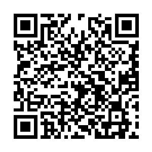 甚至那些圣级三层一下的修士失去了对身体的控制二维码生成