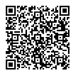 甚至隐隐明白自己在博弈上其实是稍逊对方半筹――以本域圣人之下第一的亚圣来说二维码生成