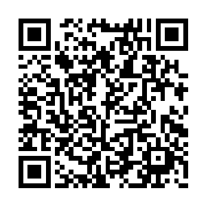 生命能量也可以让他生出一部分原本没有的肢体二维码生成