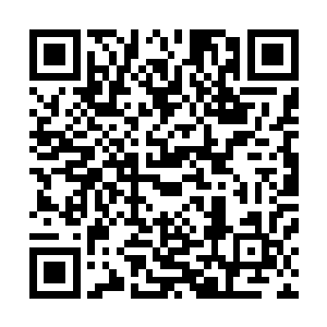 生存在幻星海的这些七阶魔兽和圣王强者全部都是不死之身二维码生成