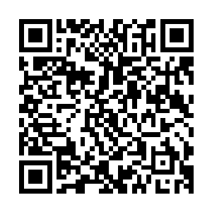 生存在那几颗修炼之星中的生灵如今也全都生活在小玄界之中二维码生成