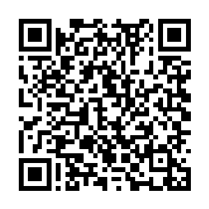 生活在中央气象台发布台风预警时直接点名的地方二维码生成