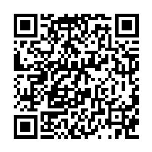 用一个足以让贱力值上升十个百分点的表情应道二维码生成