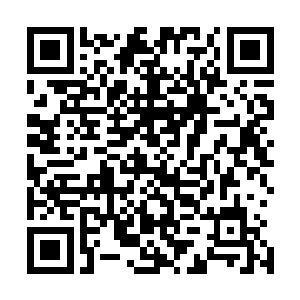 用两根手指从里面拎出一小片碎毛巾一样的东西丢在了地上二维码生成