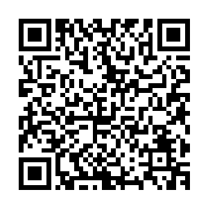 用了两天的时间龙傲天将整个龙岛的所有的地方都搜索了一遍二维码生成