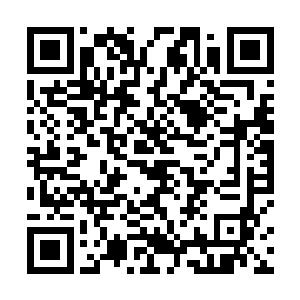 用于对全县企业经营状况和信用状况资料的收集和评估二维码生成