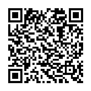 用于支付周里街五纵七横共12条主要街道的开拓费用二维码生成