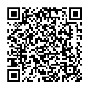 用尽各种手段挑翻了七位正是的麒麟成员之后终于叩开了麒麟的大门二维码生成