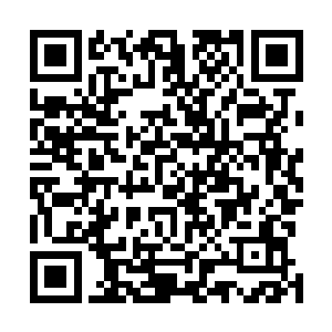 用来试探的攻击和道具也尽皆被那无穷无尽的黑暗所吞没二维码生成