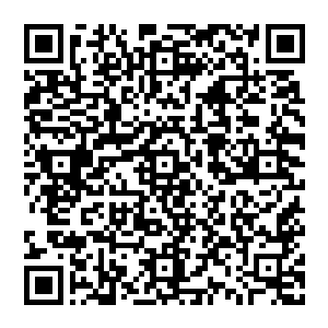 用沾满泥沙的手从那条身上唯一的遮羞物――一条破破烂烂的裤子里抽出一支银灿灿的匕首递给小狐妖二维码生成