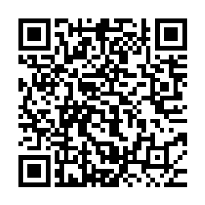 用特殊秘法栽种在了这条巨蟒脑袋后面的……那人还真是好手段二维码生成
