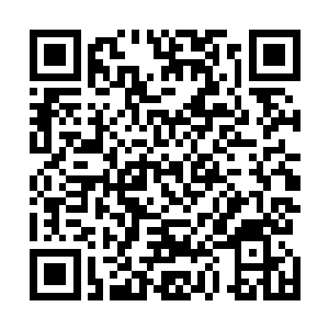 由半岛西南角的全罗道改编而成的真番郡有两万平方公里二维码生成