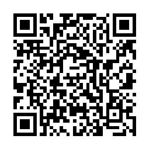 由数万种颜色组成的火舌从那条细长的缝隙中窜了出来二维码生成