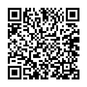 由此终结掉了skt在韩国乃至全世界范围内维持已久的王朝二维码生成
