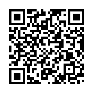 由败阵的专家说出专家只是个屁时二维码生成