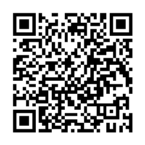 由这几座王主级墨巢衍生出来的域主级墨巢和领主级墨巢二维码生成