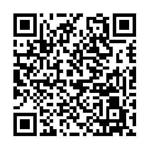 申林棠身边的威国众人全部被如山的巨力撞击开来二维码生成