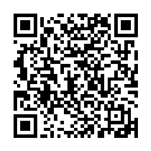 电影公司的决策也在大胆冒险的同时保持着足够的谨慎二维码生成