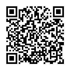 电影的大多数观众根本不可能看到珍妮弗的表演二维码生成