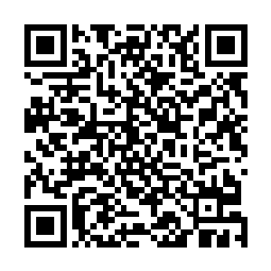 电视开着可她手里却拿着一摞照片在一张一张仔细的在看二维码生成