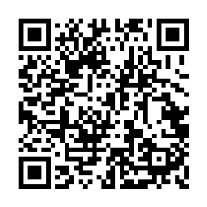 畅通无阻的进入了这一团无比恐怖的气血之力中二维码生成