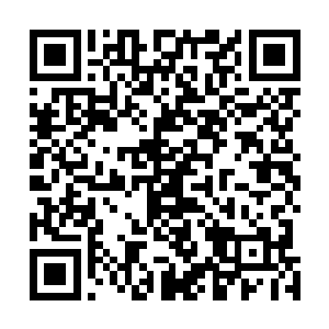 白公子没有将这次拍卖会的钱都拿走就已经很不错了……二维码生成