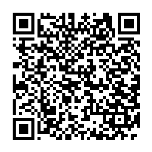 白兰商会当然不会让铁剑佣兵团和雄狮佣兵团的人为他们护送货物了二维码生成