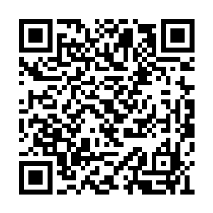 白大夫在信里说蝗虫喜欢生活在温暖干燥的地方二维码生成