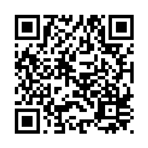 白天艾琳陪高扬和叶莲娜他们玩儿二维码生成