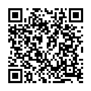 白小飞正准备在一尘不染的基地走廊里找些灰尘替代银粉二维码生成