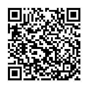 白振东和王建军离纹身男所在的位置只有五米不到二维码生成