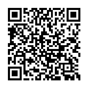 白沧海再次用着很是认真的口吻对着林辰出声道二维码生成