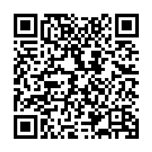 白狐缓缓的伸出了那一只雪白纤细青葱一般的玉手二维码生成