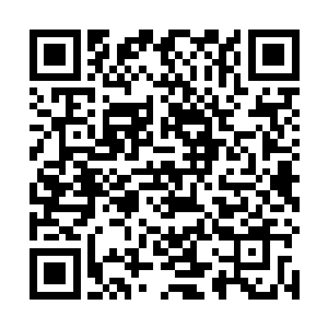 白狐都在尽可能的压抑着自己身上那种极端强大的气息二维码生成
