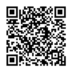 白石和马几乎就是眼睁睁的看着他之前一手创建的网游帝国二维码生成