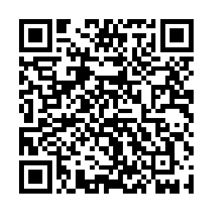 白芷璃因为为自己得到了这个消息还有一些窃窃自喜二维码生成