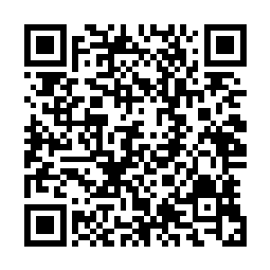 白莲境界的修为怎么能一击打得间接受力的龙驹也承受不住二维码生成