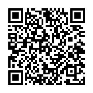 白菜和白萝卜是蔬菜当中解毒效果比较好的两种食材二维码生成