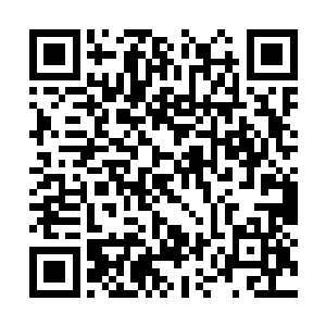 白袍一直不想要女儿介入修真界的这么多纷争当中二维码生成