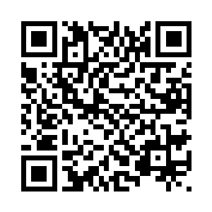 白鹿看到莫小鱼身后跟着的小飞花二维码生成